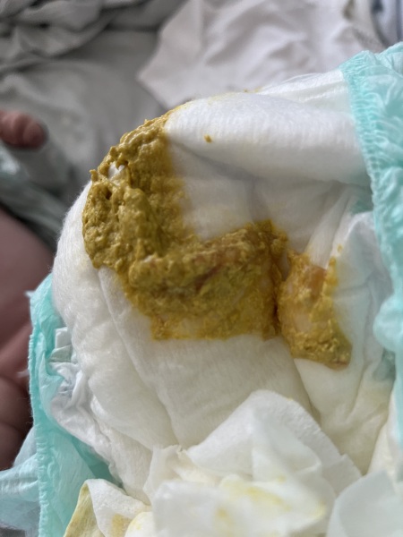 9 week old - diarrhoea and mucus?
