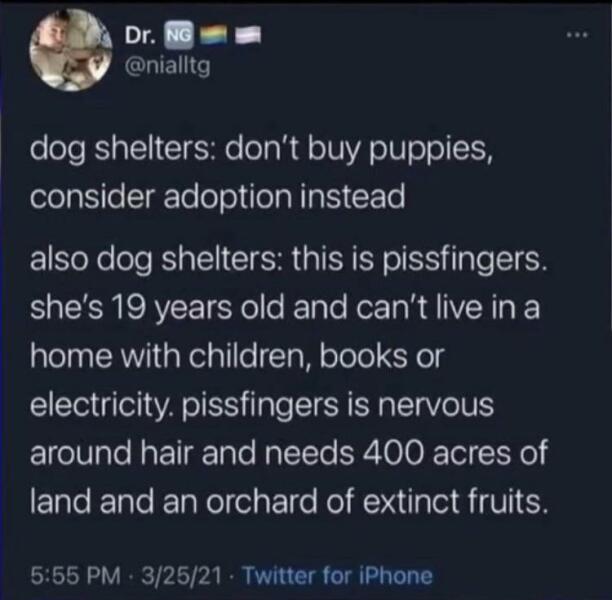 To think that putting to sleep very difficult dogs is not the most awful thing for them?