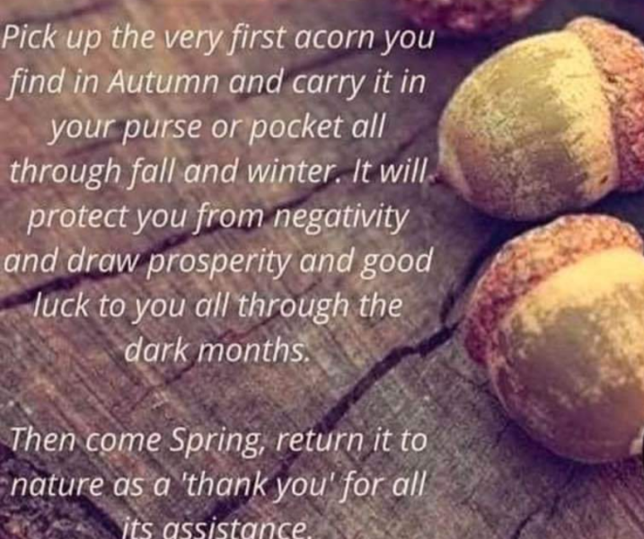 Any Witches here? Part 20