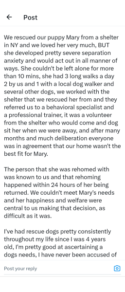 Lily Allen rehomed her dog because it chewed her passport