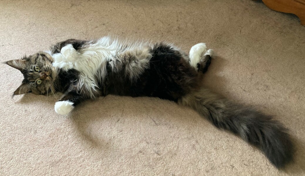 Come and tell me your dull and unexciting news 30: Calmly through the day