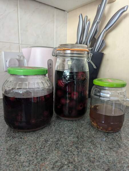 Spring has sprung...let's Countdown to Christmas 2024 (Thread 2)