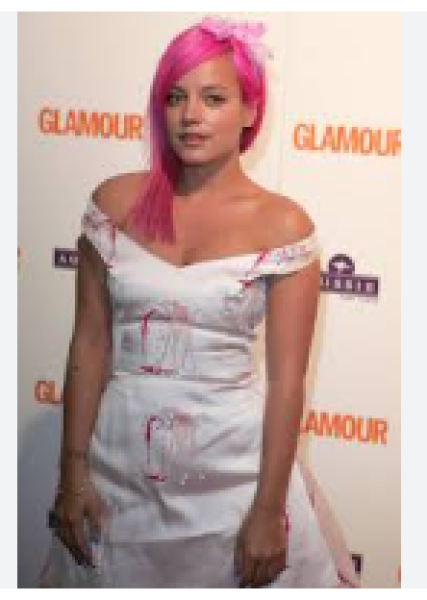 Lily Allen rehomed her dog because it chewed her passport