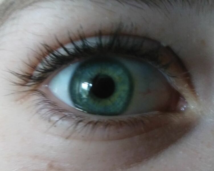 What colour is this eye?