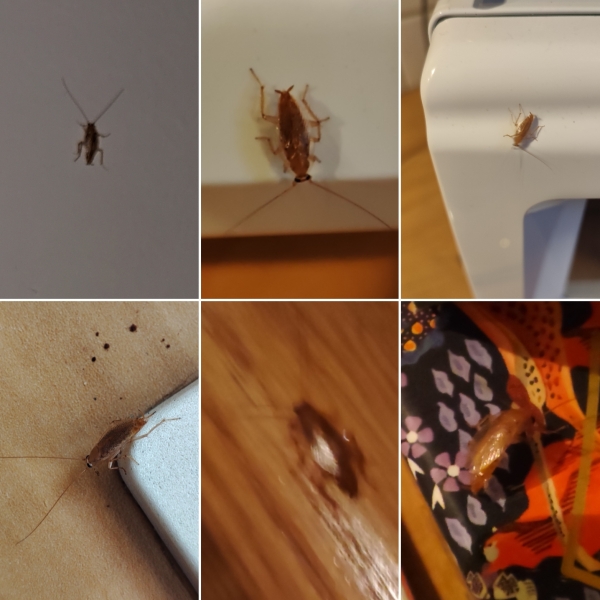 Bon Sejour en France