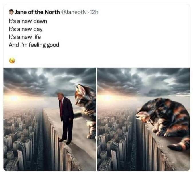 Trump Trial Time - banish all memories of Mueller.