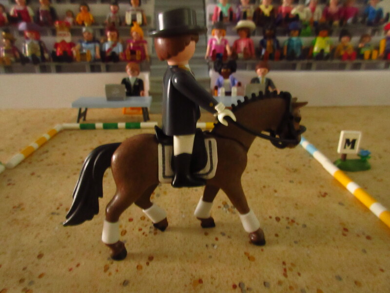 It's time for the Olympic Games for the Playmobil people in our house...