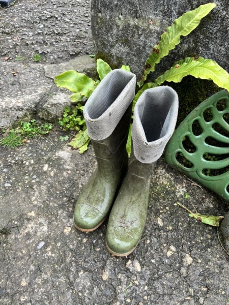 Wellies with the tops turned - down