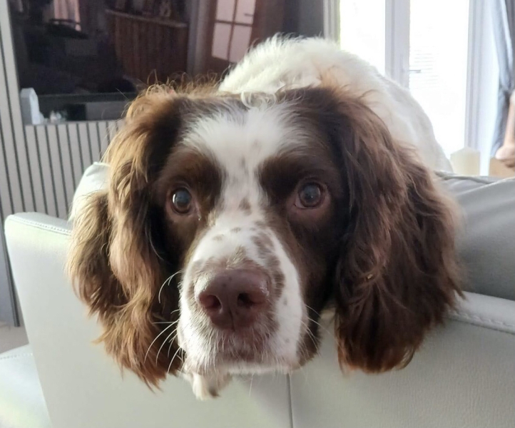 Thread 5 Starmer: keeping on keeping on