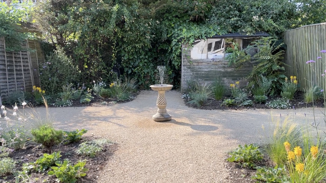 Which weeds do I have? How should I handle them?