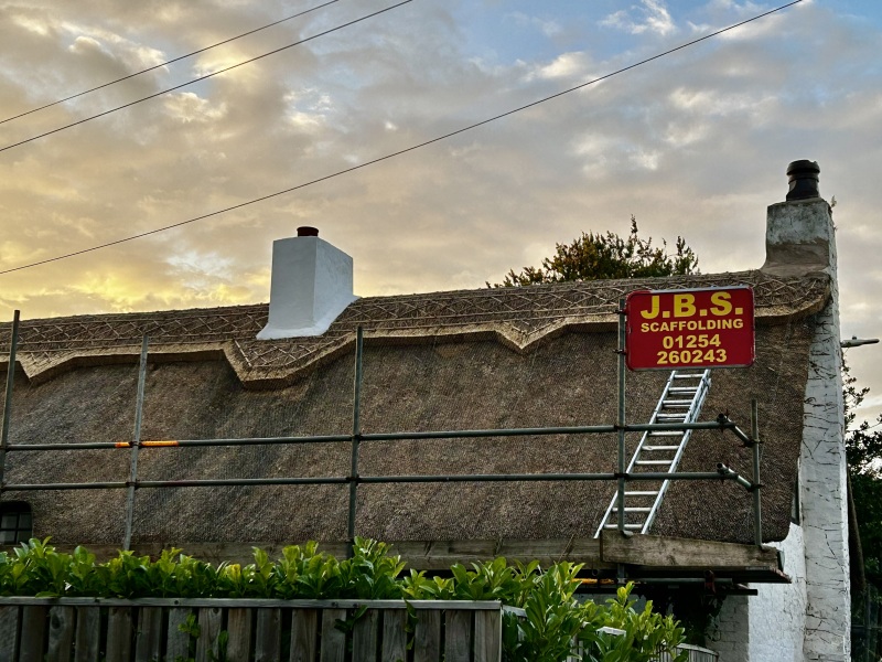 Come and tell me your dull and unexciting news 31: Calmly through the day