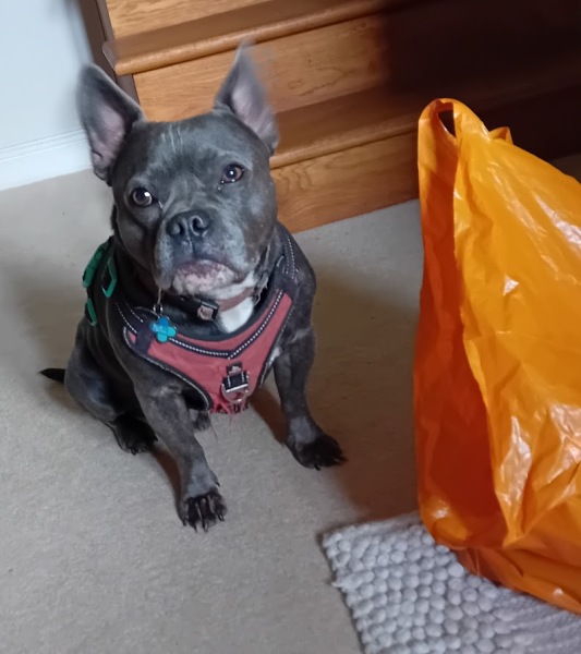 The support thread for anyone trying to lead an alcohol free life.