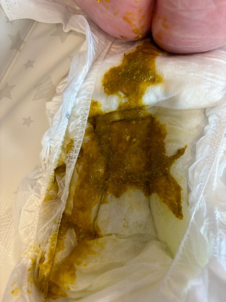16 week old poo - is this ok? Image.