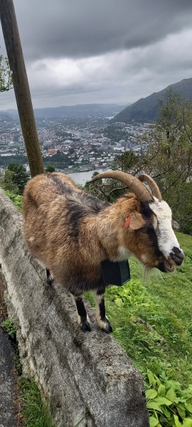 Thread 5 Starmer: keeping on keeping on