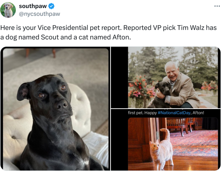 It's not over until the Cat Lady sings - Trump thread #133