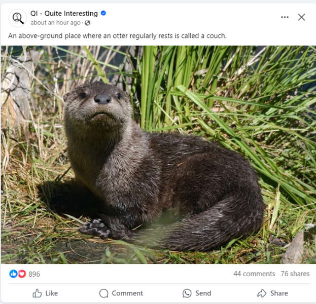 It's not over until the Cat Lady sings - Trump thread #133