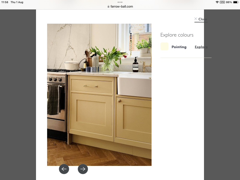 If you were getting a new kitchen what colour would you choose?