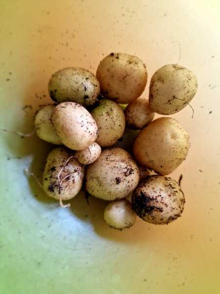 Thread 5 Starmer: keeping on keeping on