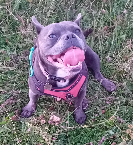 The support thread for anyone trying to lead an alcohol free life.