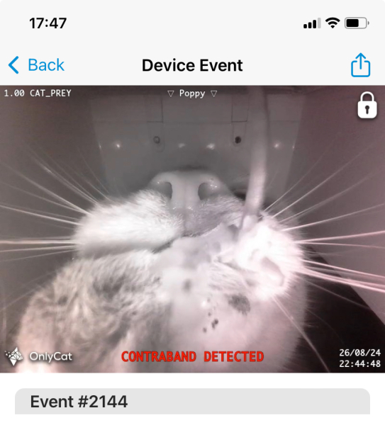 HELP! A mouse electrocuted me