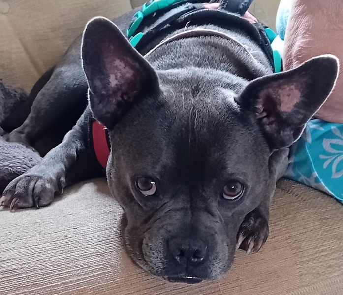 The support thread for anyone trying to lead an alcohol free life.