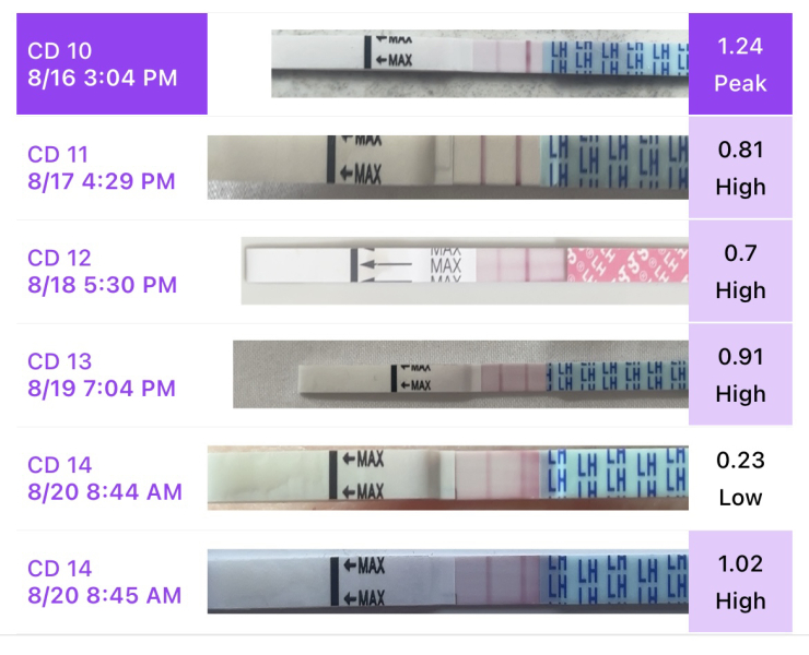 Ovulation? Helppppp