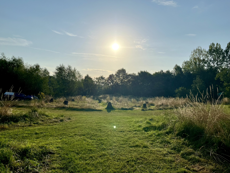 Is this just the way it is?  Camping 2024