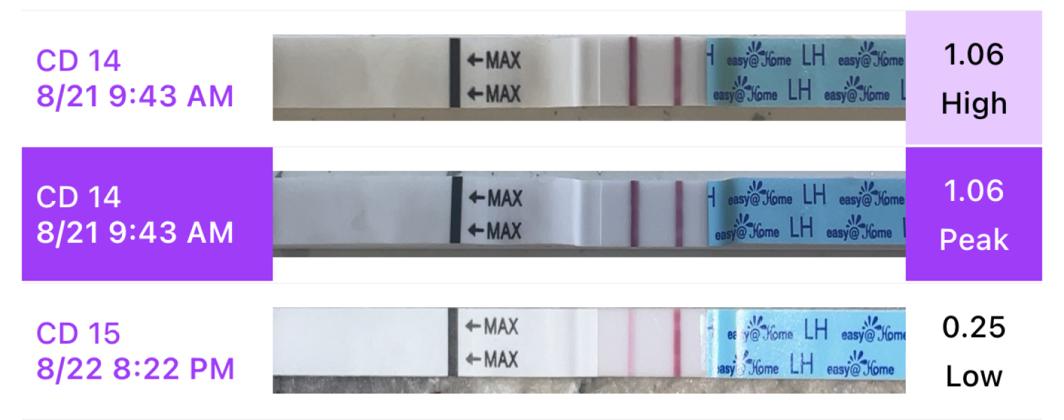 Ovulation test - positive?