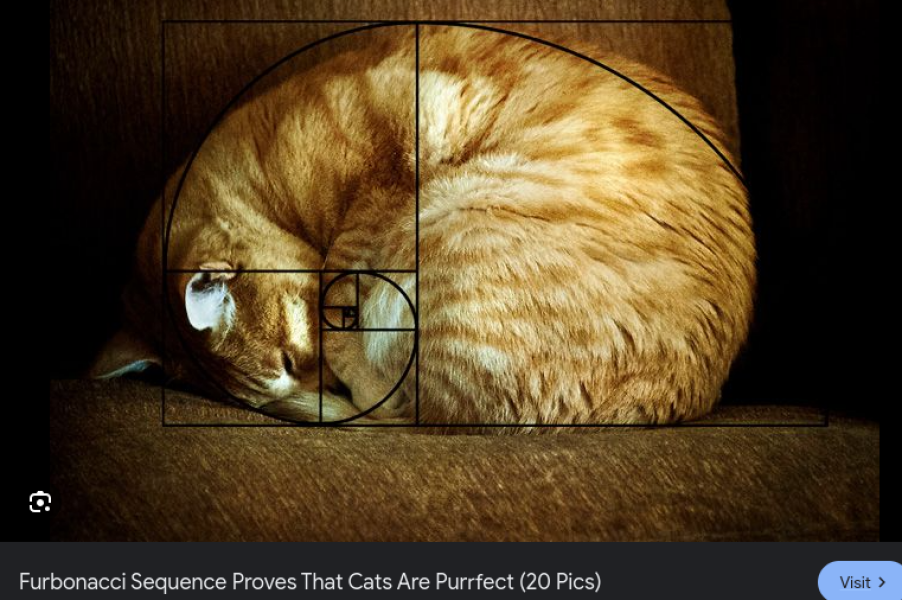 Bluestocking - the second leg