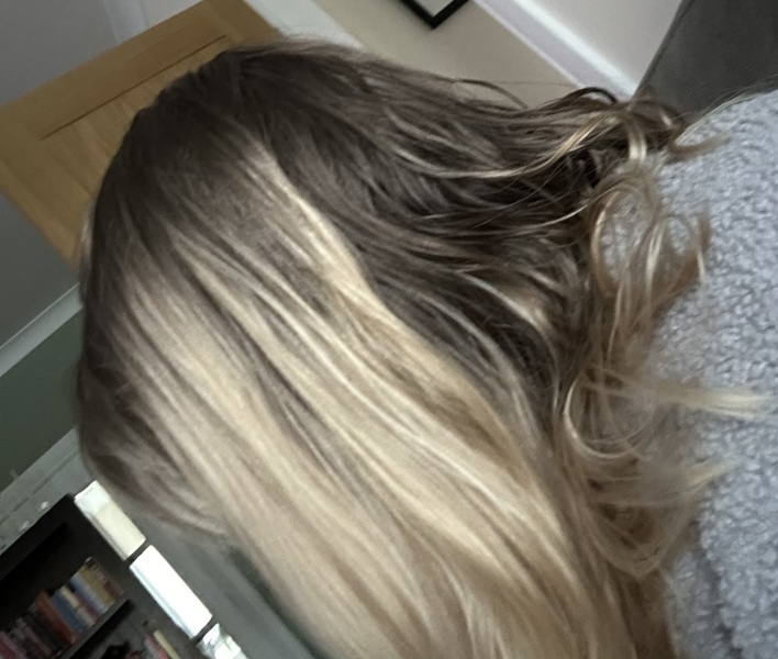 Any hair stylists - what level is my hair?