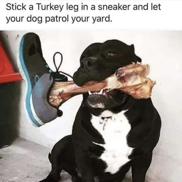 to share this INSANE life hack!!!!
