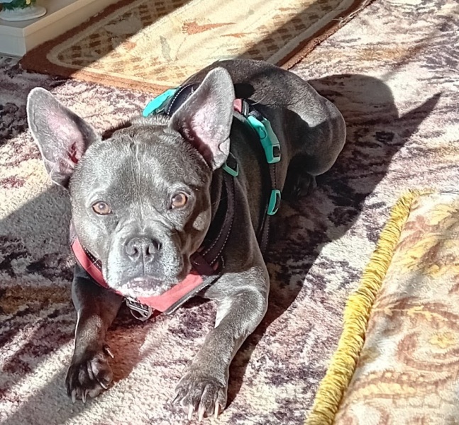 The support thread for anyone trying to lead an alcohol free life.