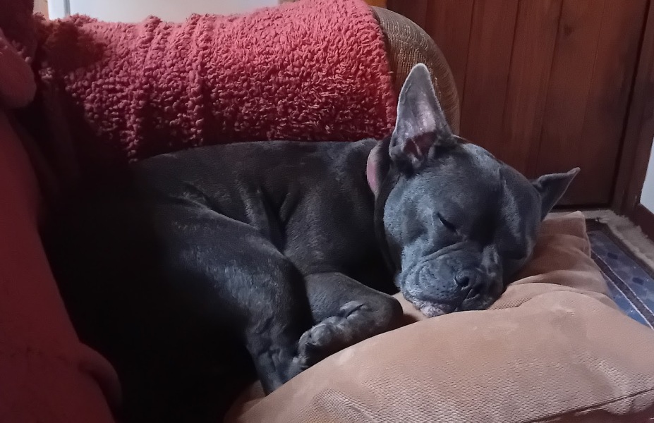 The support thread for anyone trying to lead an alcohol free life.