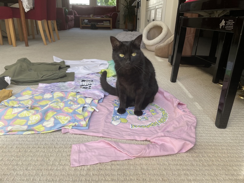 Thread 6 Starmer: We're going to need a bigger skip!