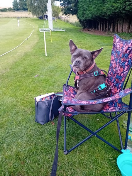 The support thread for anyone trying to lead an alcohol free life.