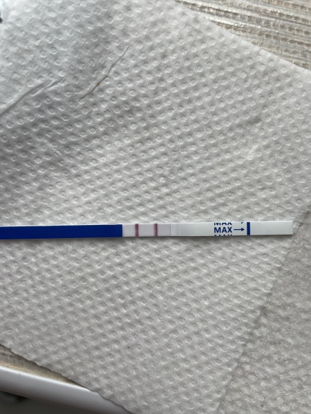 13dp3dt - are these lines ok?