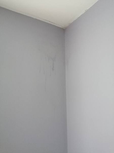 What is this and who can fix it?