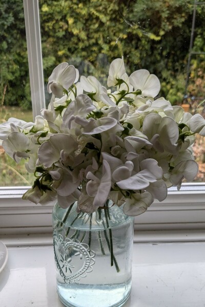 Thread 6 Starmer: We're going to need a bigger skip!