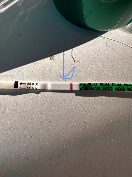 Pregnancy test