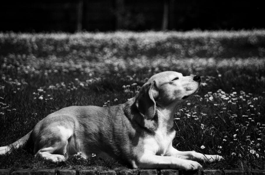 Thread 6 Starmer: We're going to need a bigger skip!