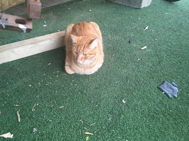 Thread 5 Starmer: keeping on keeping on