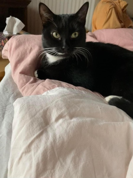 What's on your bed?
