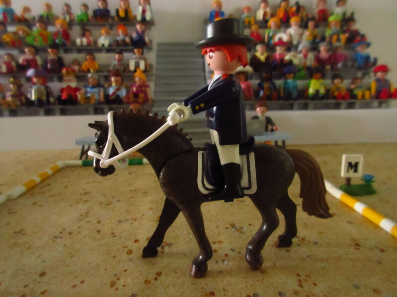 It's time for the Olympic Games for the Playmobil people in our house...