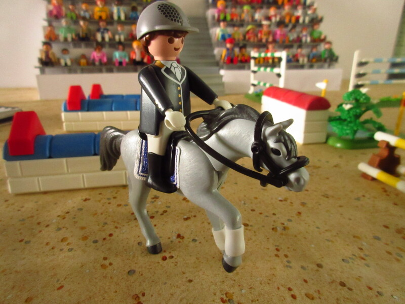 It's time for the Olympic Games for the Playmobil people in our house...