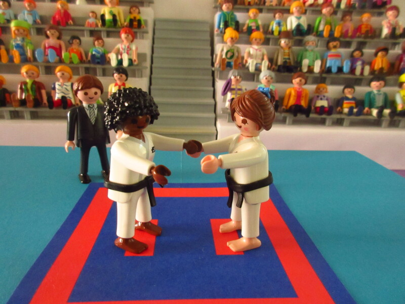 It's time for the Olympic Games for the Playmobil people in our house...