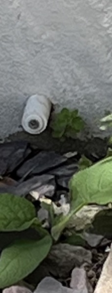 What are these things on my neighbour’s house exterior?