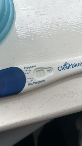 pregnancy teat