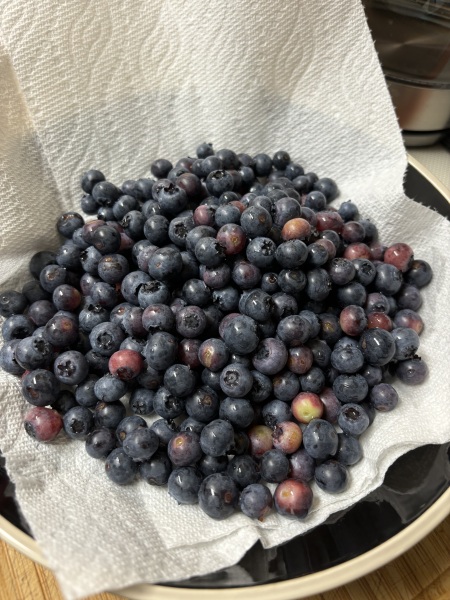 Come and tell me your dull and unexciting news 31: Calmly through the day