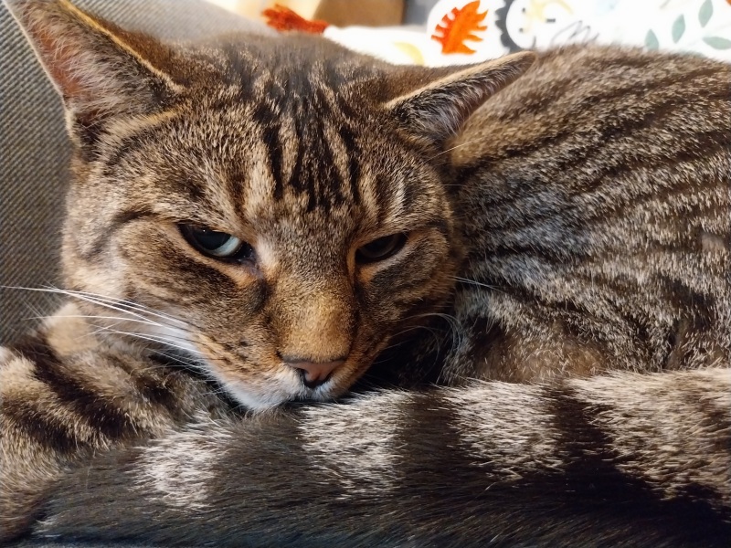 Thread 5 Starmer: keeping on keeping on