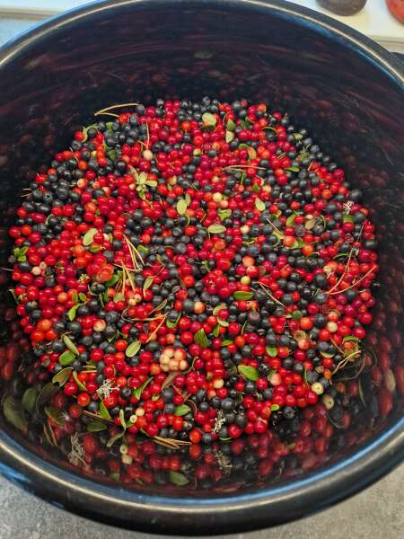 The Autumnal Christmas Chronicles Preamble thread